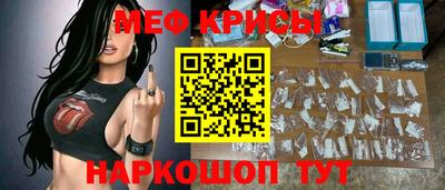 a pvp Новозыбков