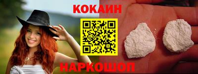 СК Новодвинск