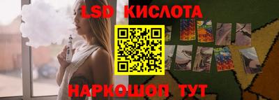 СК Новодвинск