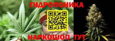 a pvp Новозыбков