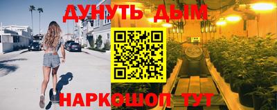 СК Новодвинск