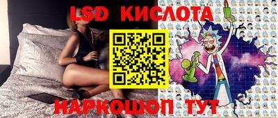 СК Новодвинск