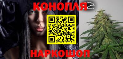 СК Новодвинск
