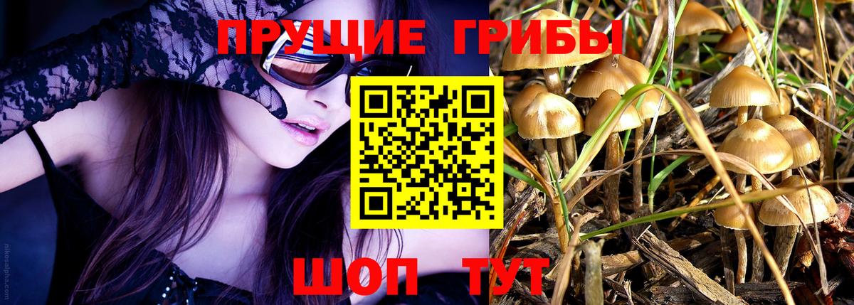 Галлюциногенные грибы мухоморы  Вход с VPN  Ржев 